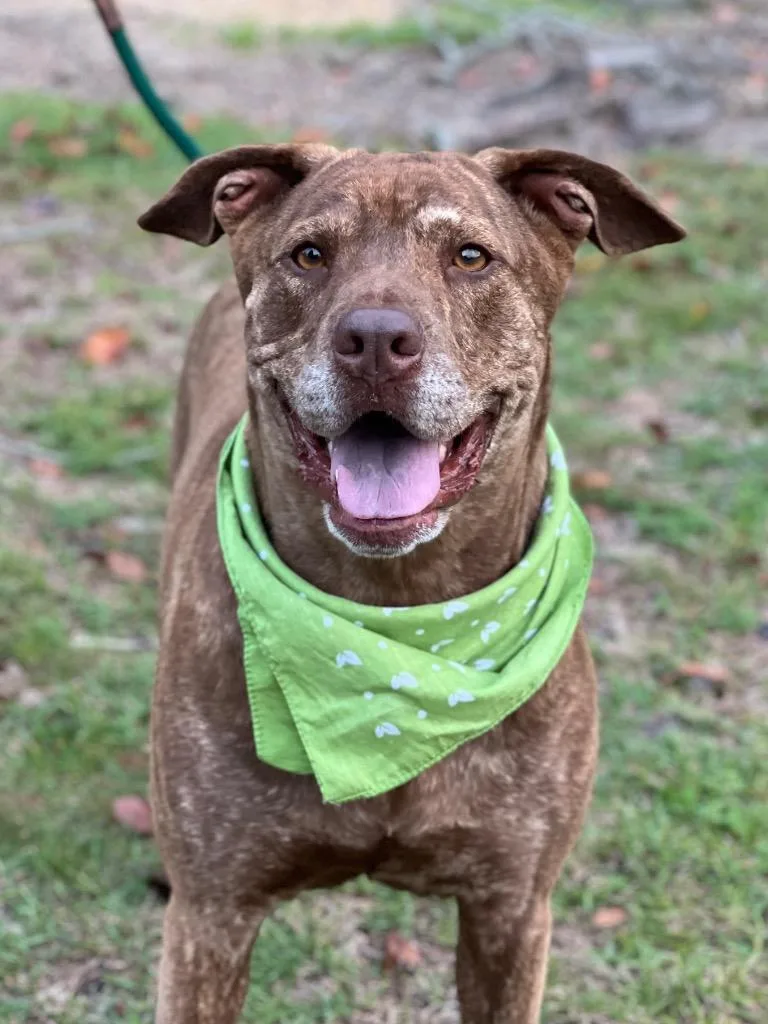 Ruby  Judy thumbnail 6