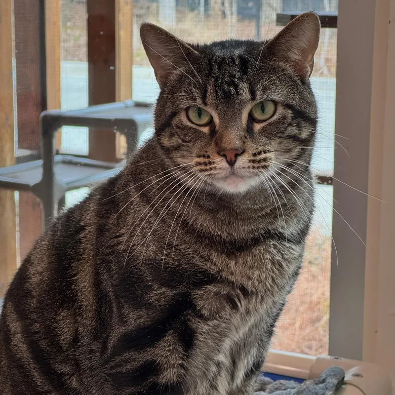 Mr. Whiskers thumbnail 2