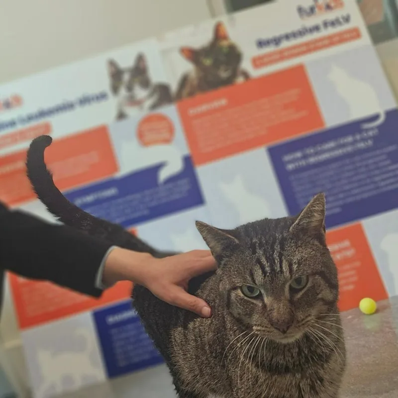 Mr. Whiskers thumbnail 3