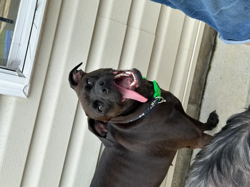 Caroline thumbnail 2