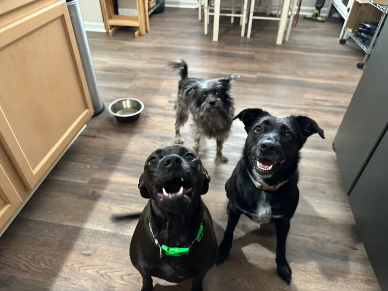 Caroline thumbnail 3