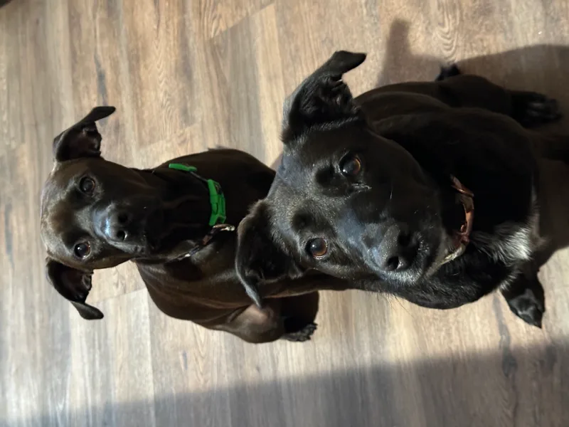 Caroline thumbnail 5