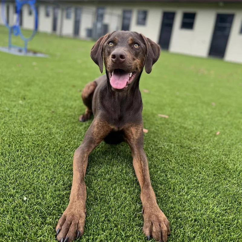 Nutro Aka Henry thumbnail 3