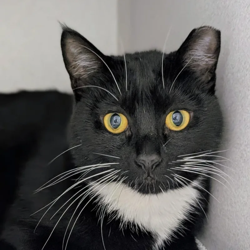 Sebastian thumbnail 2