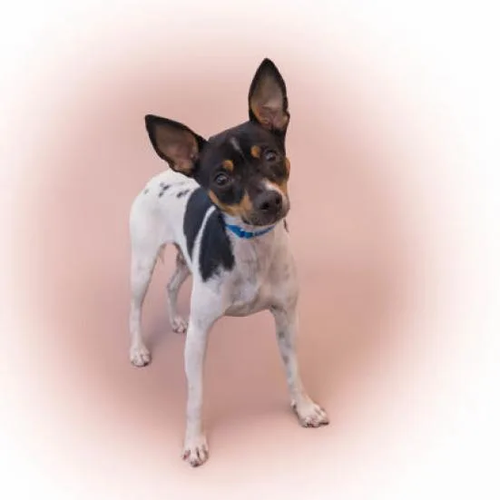 Delilah thumbnail 3