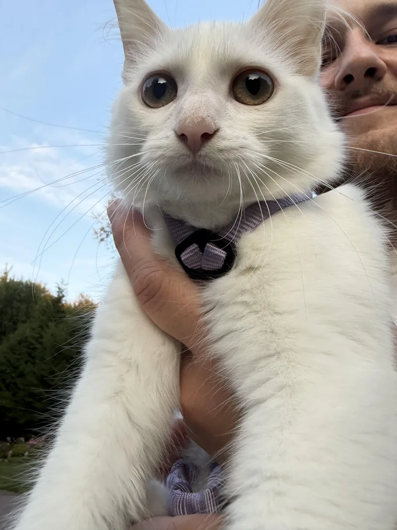 Smudge