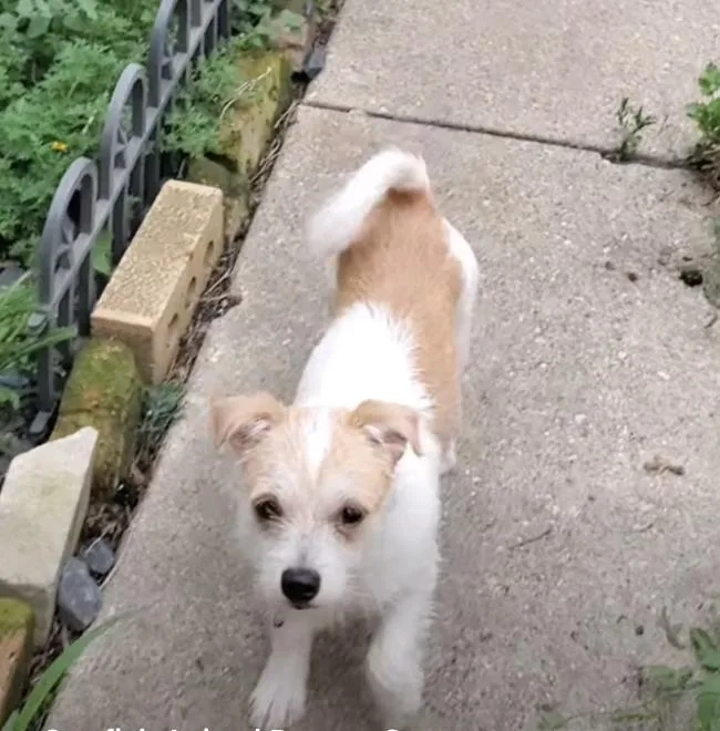 Tilly thumbnail 5