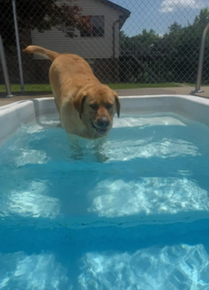 Crayola Pack : Corduroy