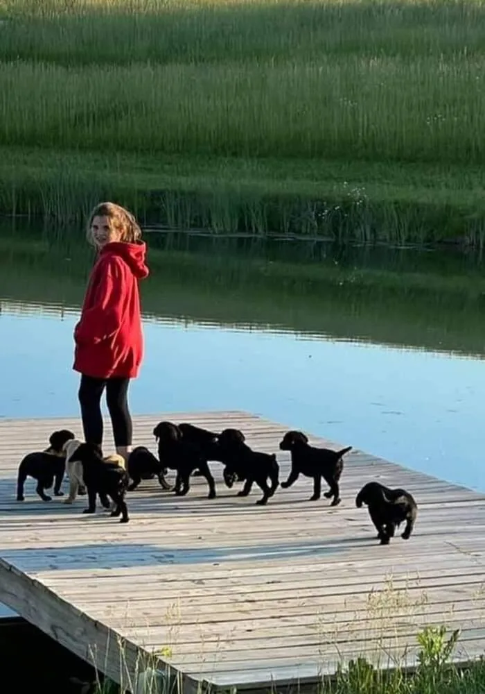 Crayola Pack : Corduroy thumbnail 6