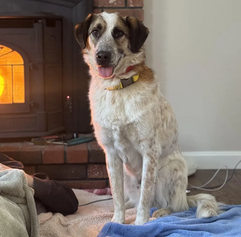 Chase Jasmine  Local thumbnail 3