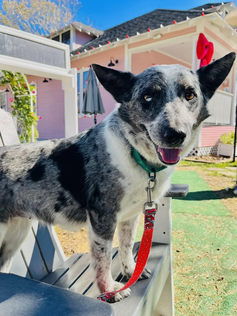 Maybelline thumbnail 2