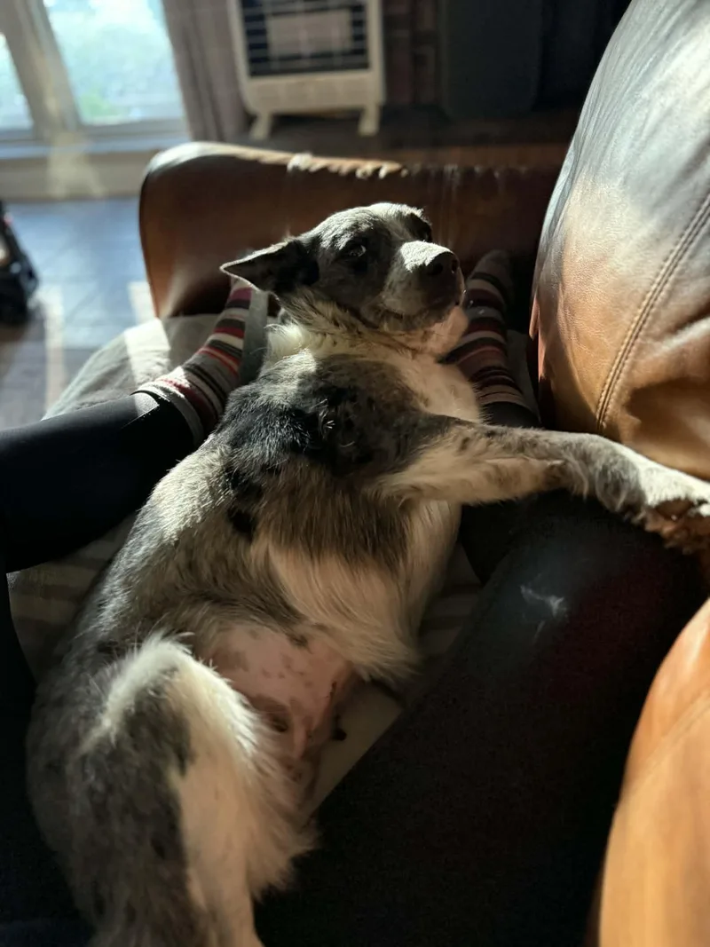 Maybelline thumbnail 3