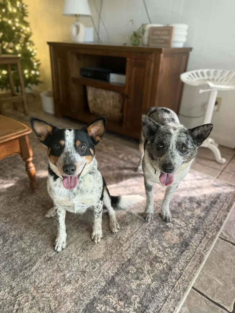 Maybelline thumbnail 4