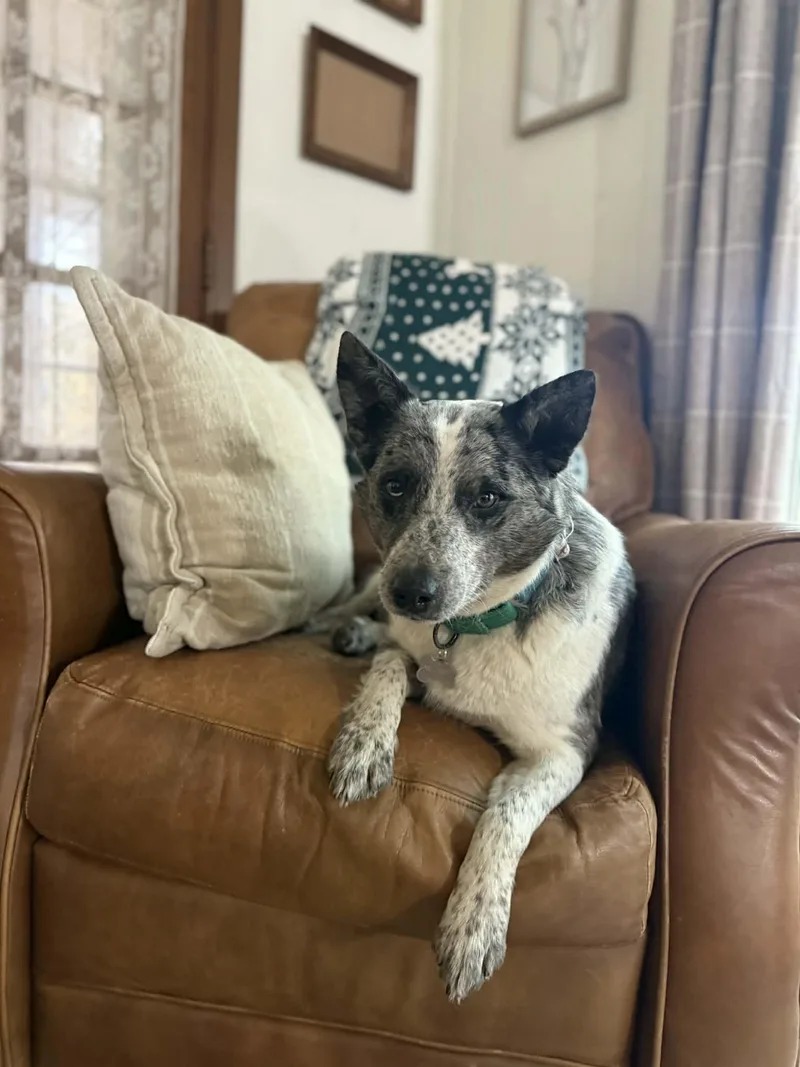 Maybelline thumbnail 5