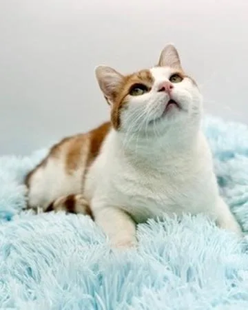 Paul Mitchell thumbnail 2