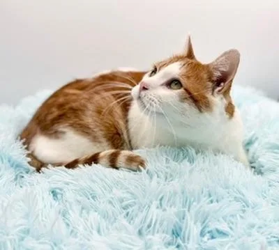 Paul Mitchell thumbnail 4