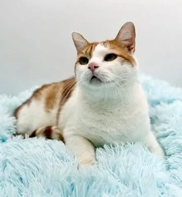 Paul Mitchell thumbnail 5