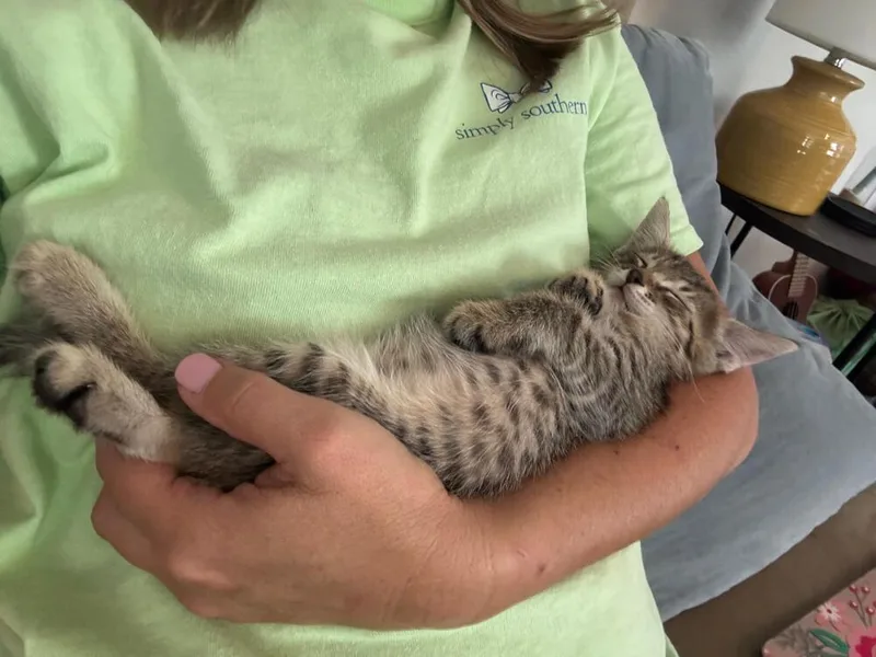Pawbert thumbnail 2