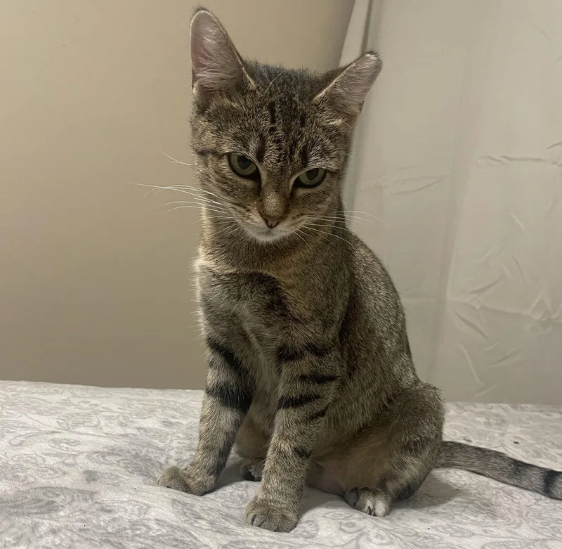 Rosita Calmbedfellow thumbnail 2