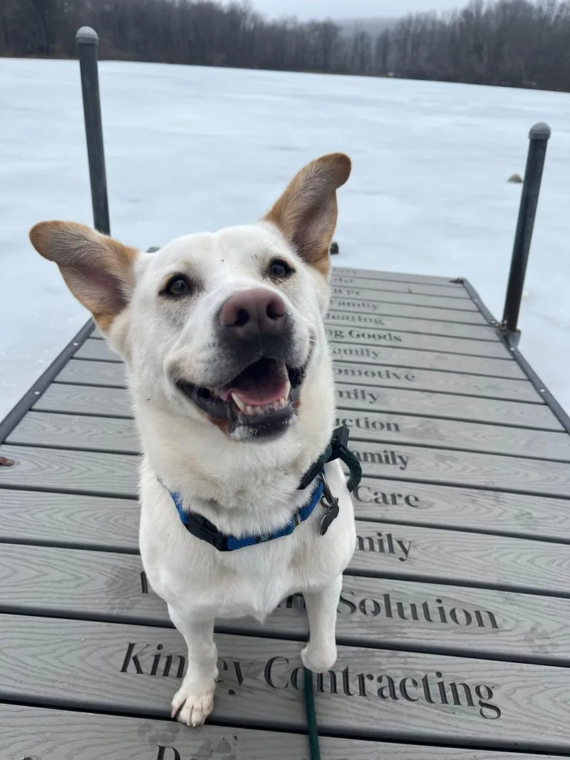 Rocket Dixon thumbnail 2