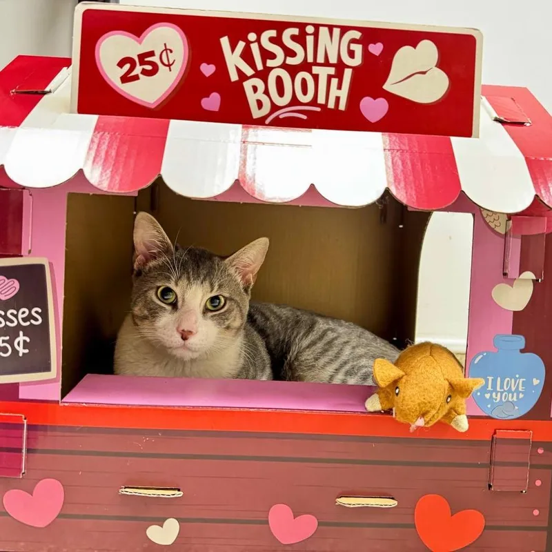 Mr. Smith thumbnail 4