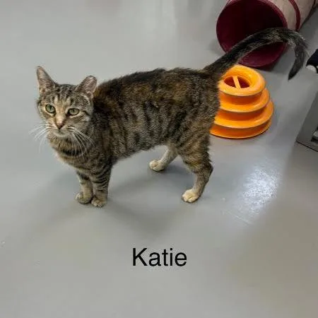 Katie thumbnail 3