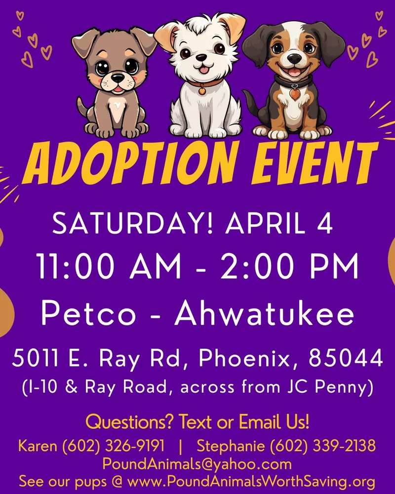 Scooby  –  thumbnail 2