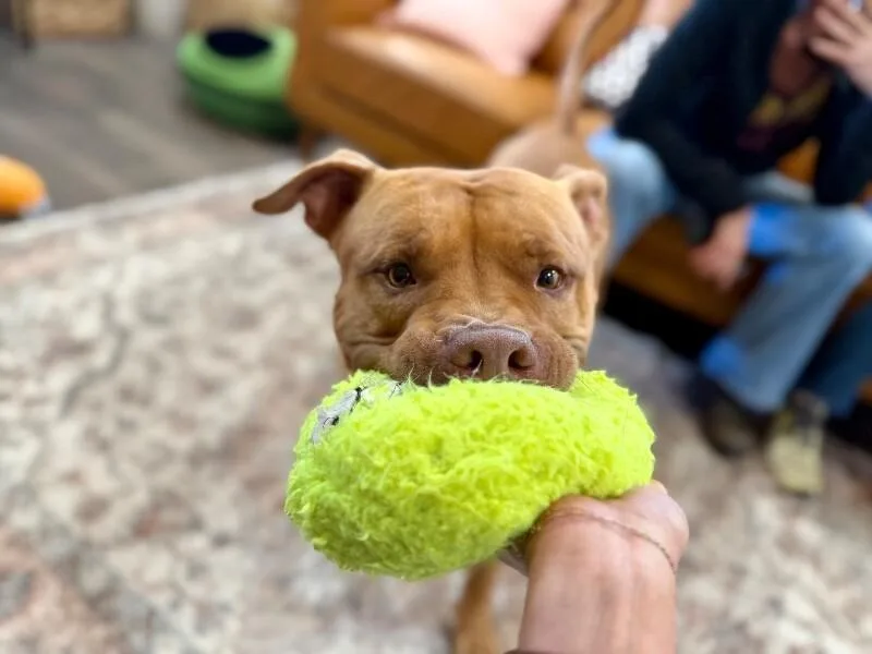 Buster Butters Softer Than thumbnail 2