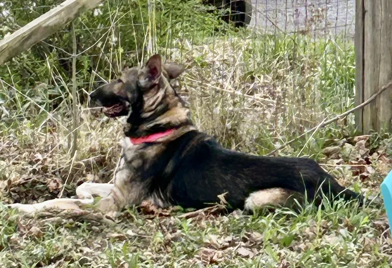 Kingston thumbnail 3