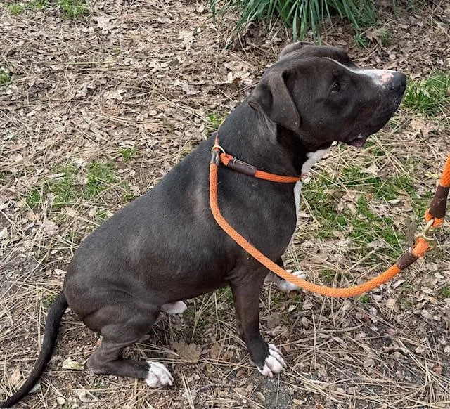 Mister Santiago • Cute thumbnail 3