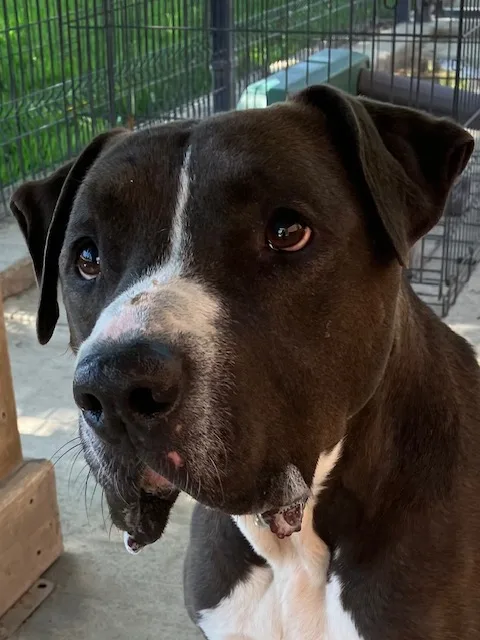 Mister Santiago • Cute thumbnail 4