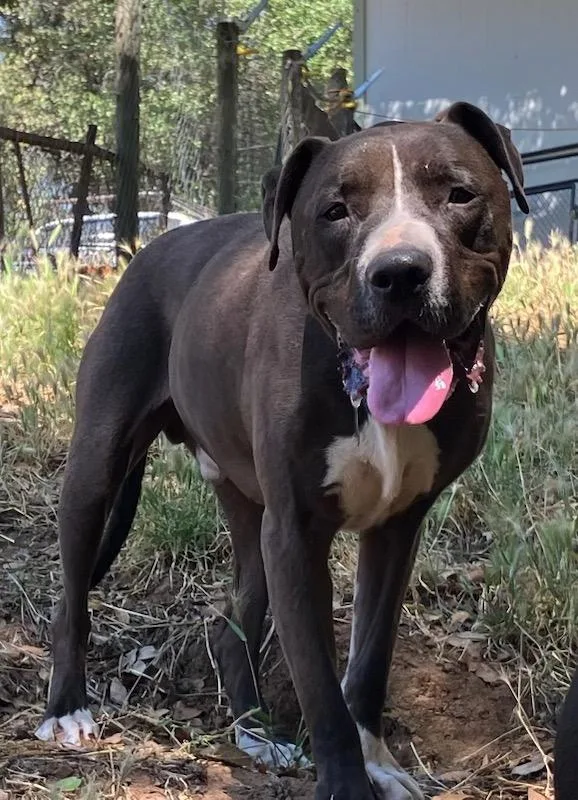 Mister Santiago • Cute