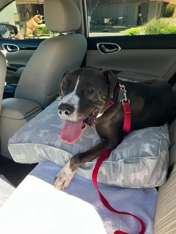 Mister Santiago • Cute thumbnail 5