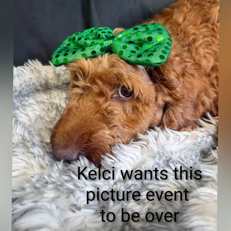 Kelci thumbnail 2