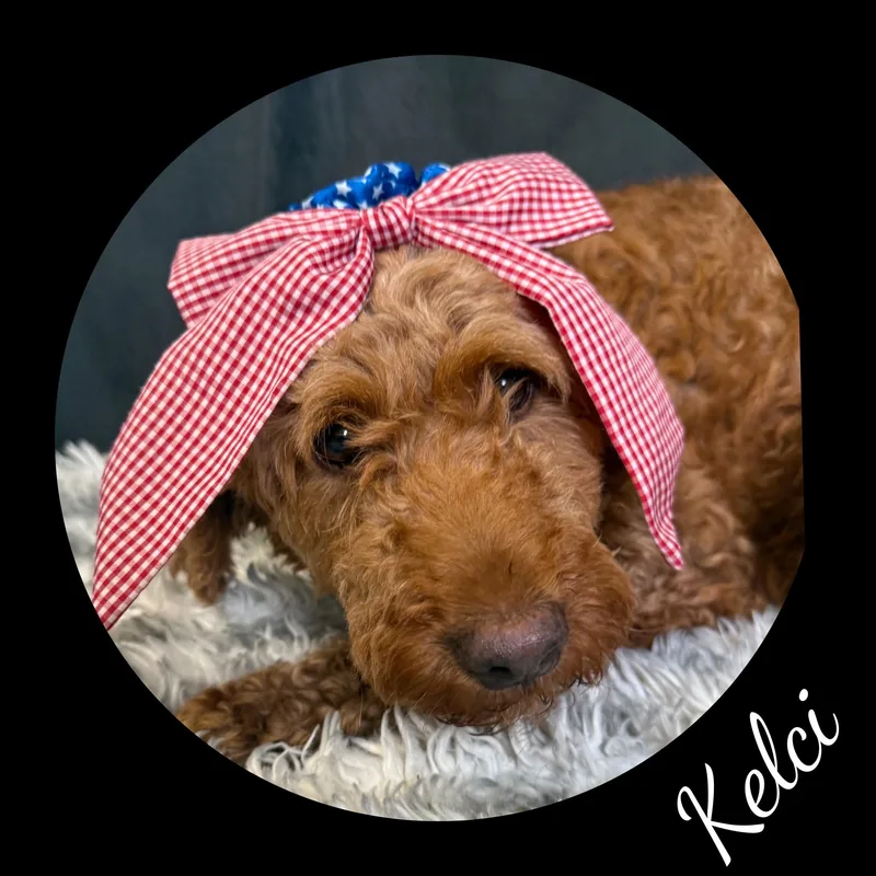 Kelci thumbnail 4