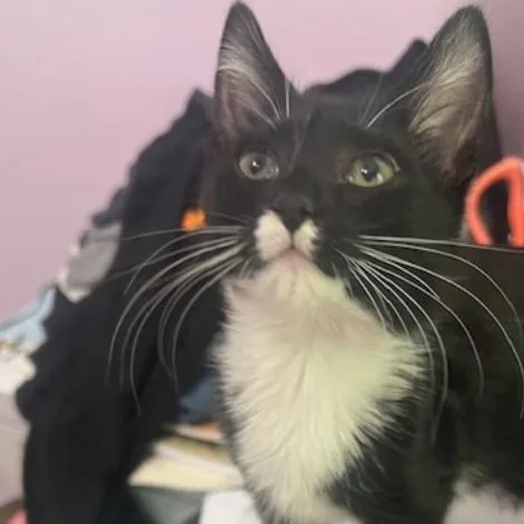 Bucky And Steve thumbnail 3