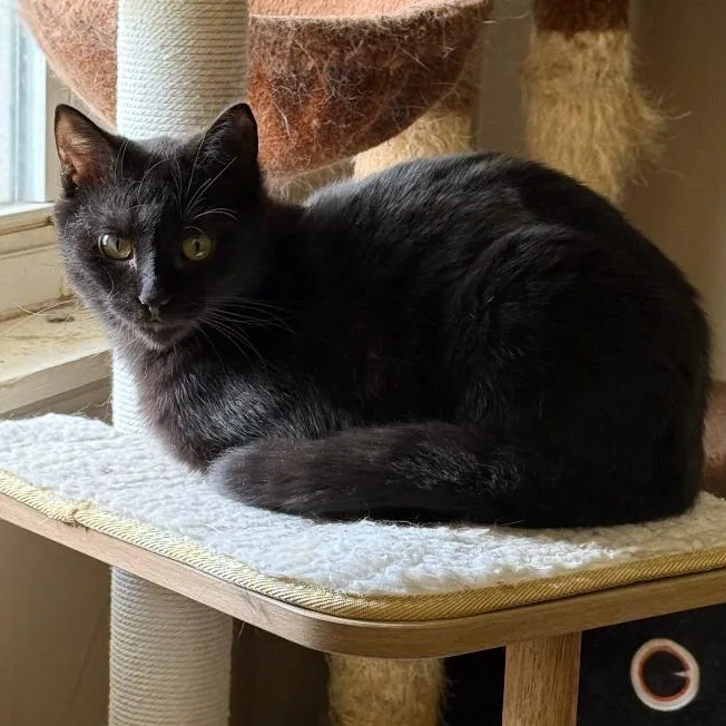 Bucky And Steve thumbnail 4