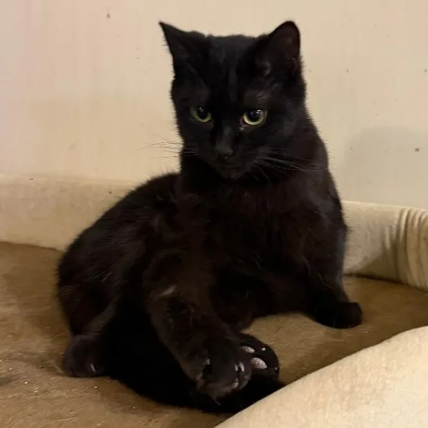 Bucky And Steve thumbnail 5