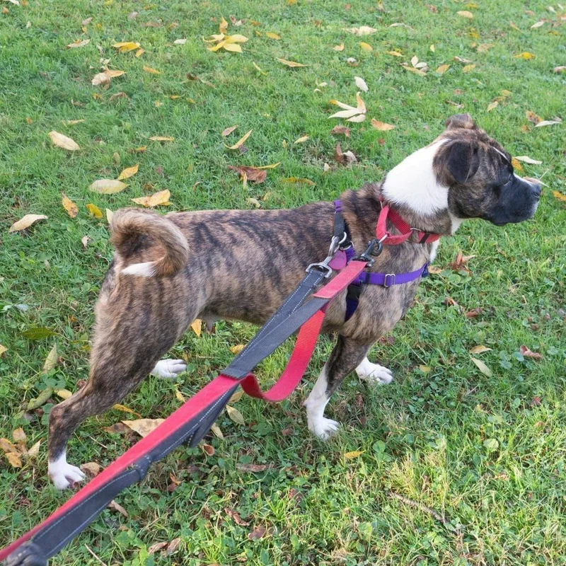 Twizzler thumbnail 3