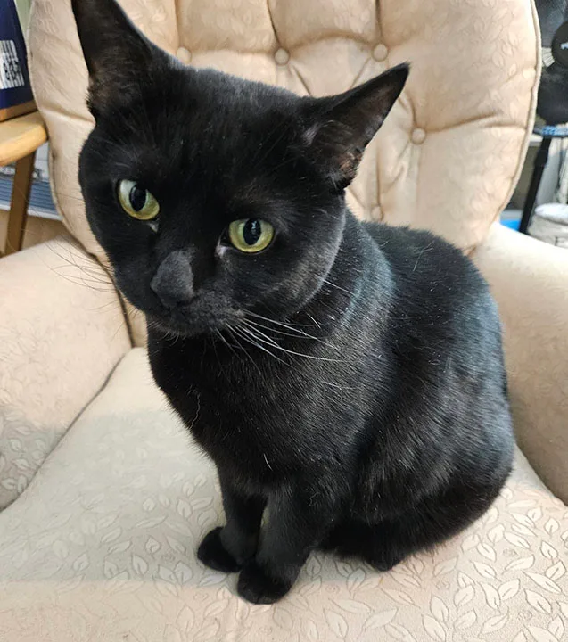 Ellierose thumbnail 5