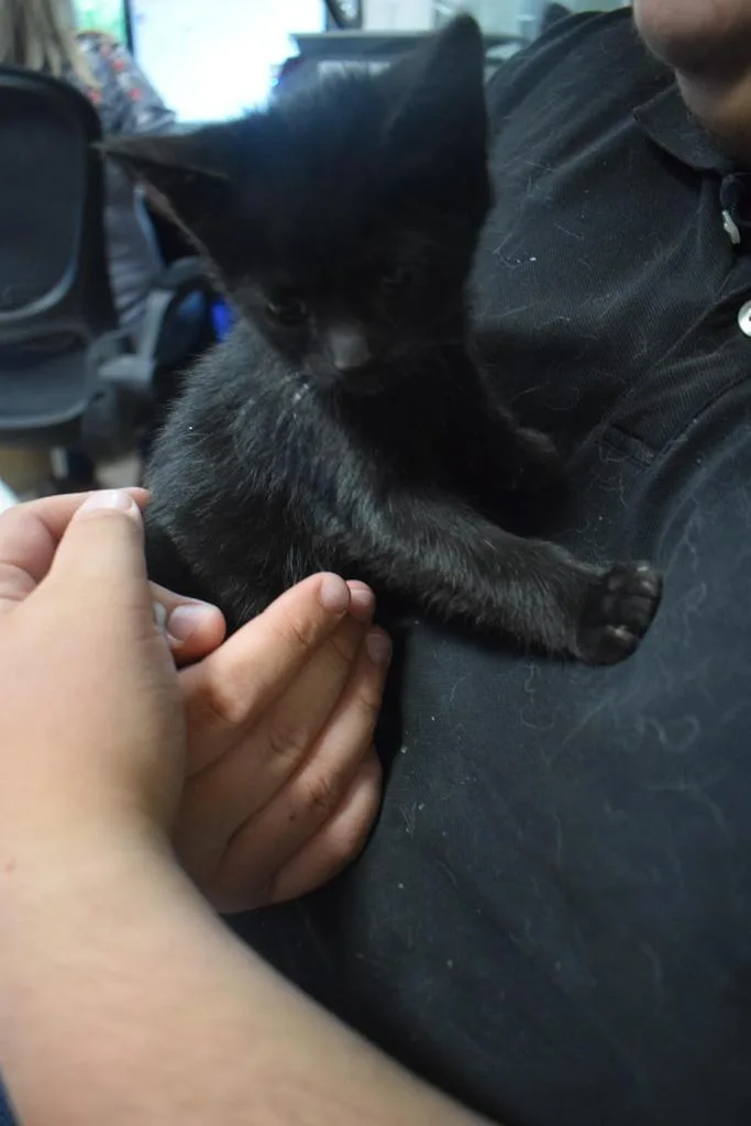 Agnes thumbnail 2