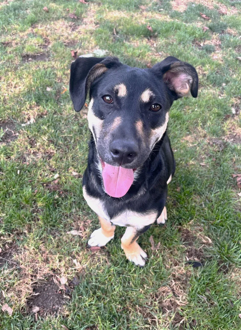 Lil Dipper Aka Leo thumbnail 3