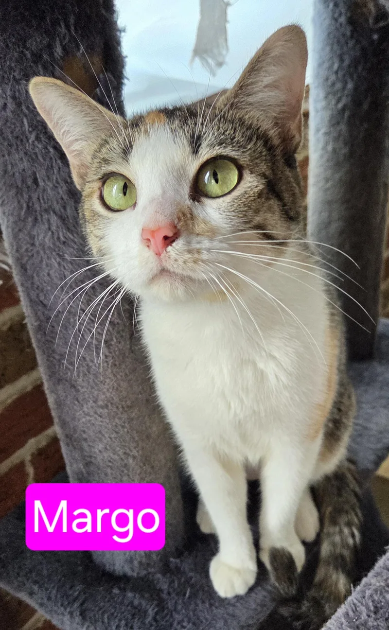 Margo thumbnail 2
