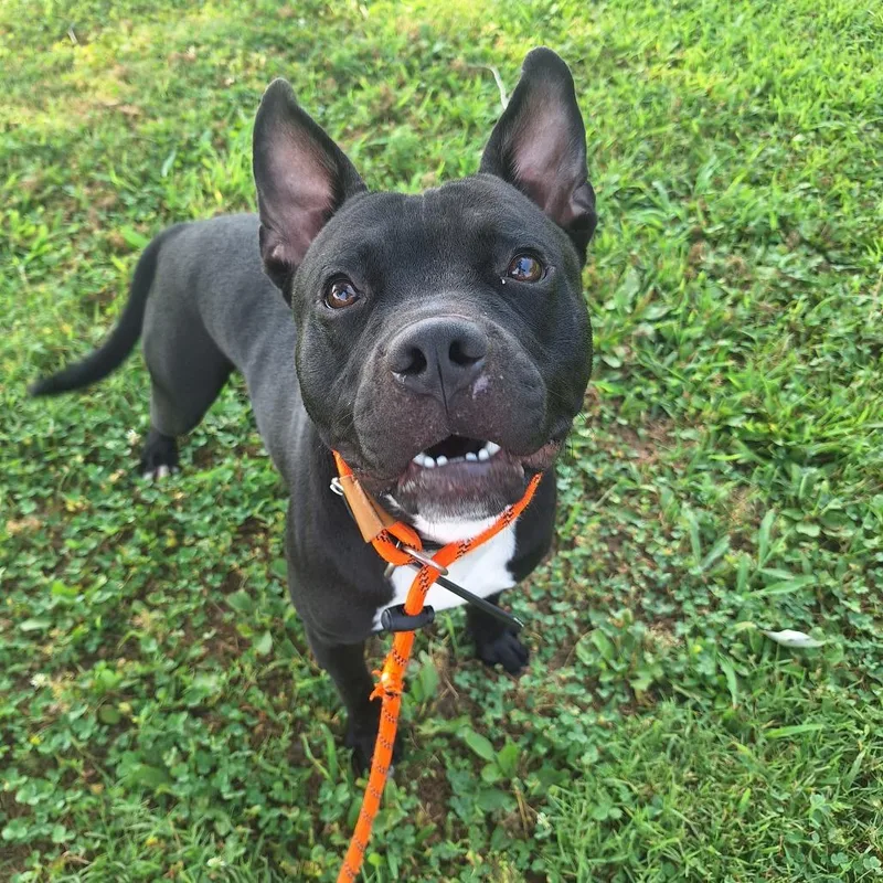 Barkley