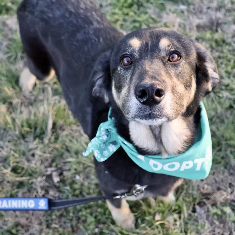 Sansa Pp thumbnail 2