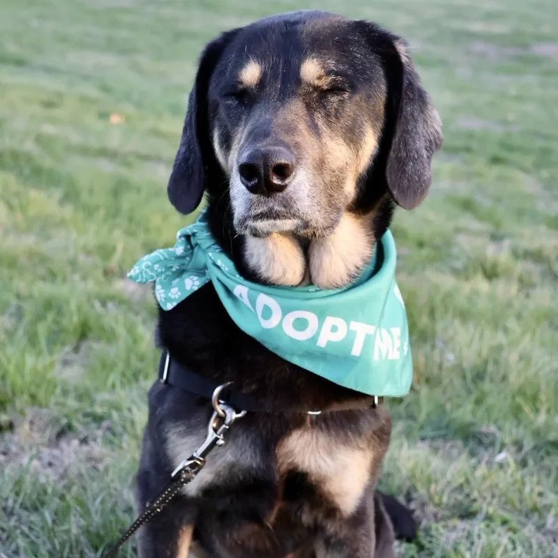 Sansa Pp thumbnail 4