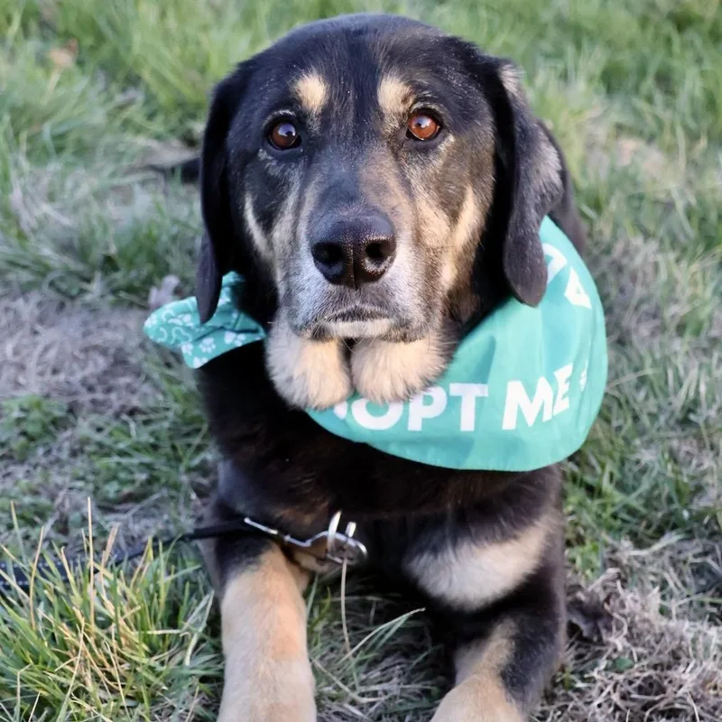 Sansa Pp thumbnail 5