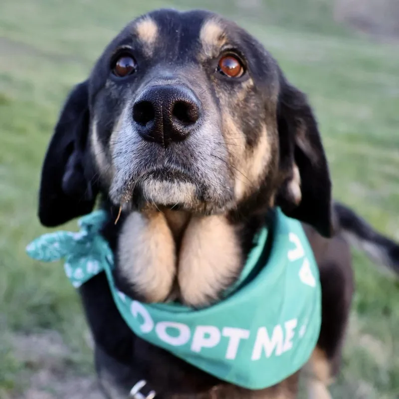 Sansa Pp thumbnail 6