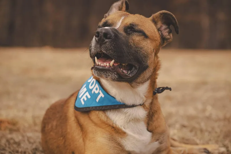 Hercules! thumbnail 4