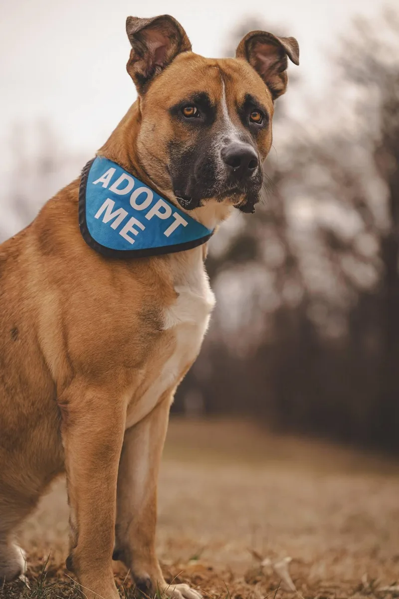 Hercules! thumbnail 5